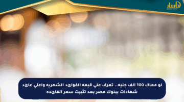 لو معاك 100 ألف جنيه.. تعرف على قيمة الفوائد الشهرية وأعلى عائد شهادات ببنوك مصر بعد تثبيت سعر الفائدة